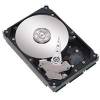 SEAGATE 250GB SATA - anh 1